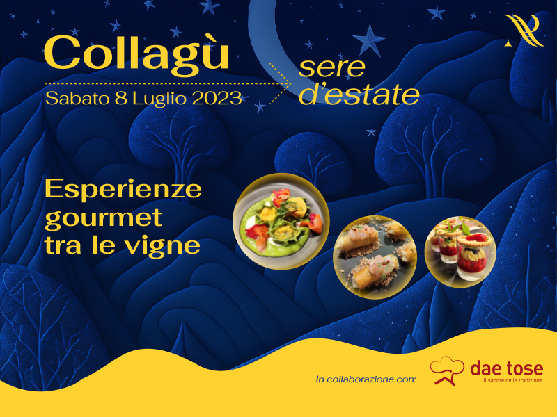 Esperienze gourmet tra le vigne 8 luglio 2023